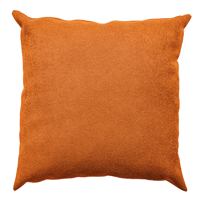 Vivid Cushion
