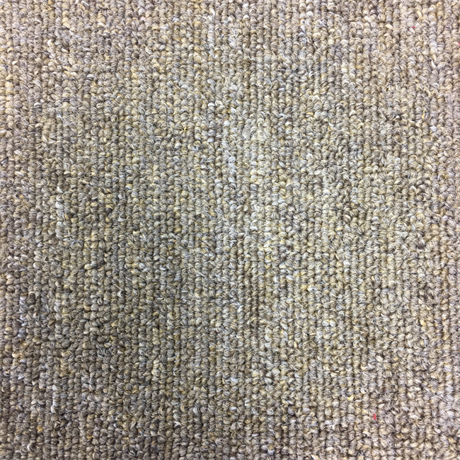 Level Loop - Light Brown Carpet