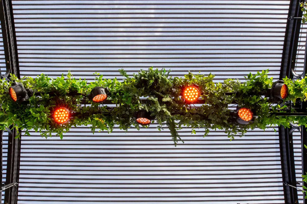 Decorative light fixture with greenery rigged to a marquee roof