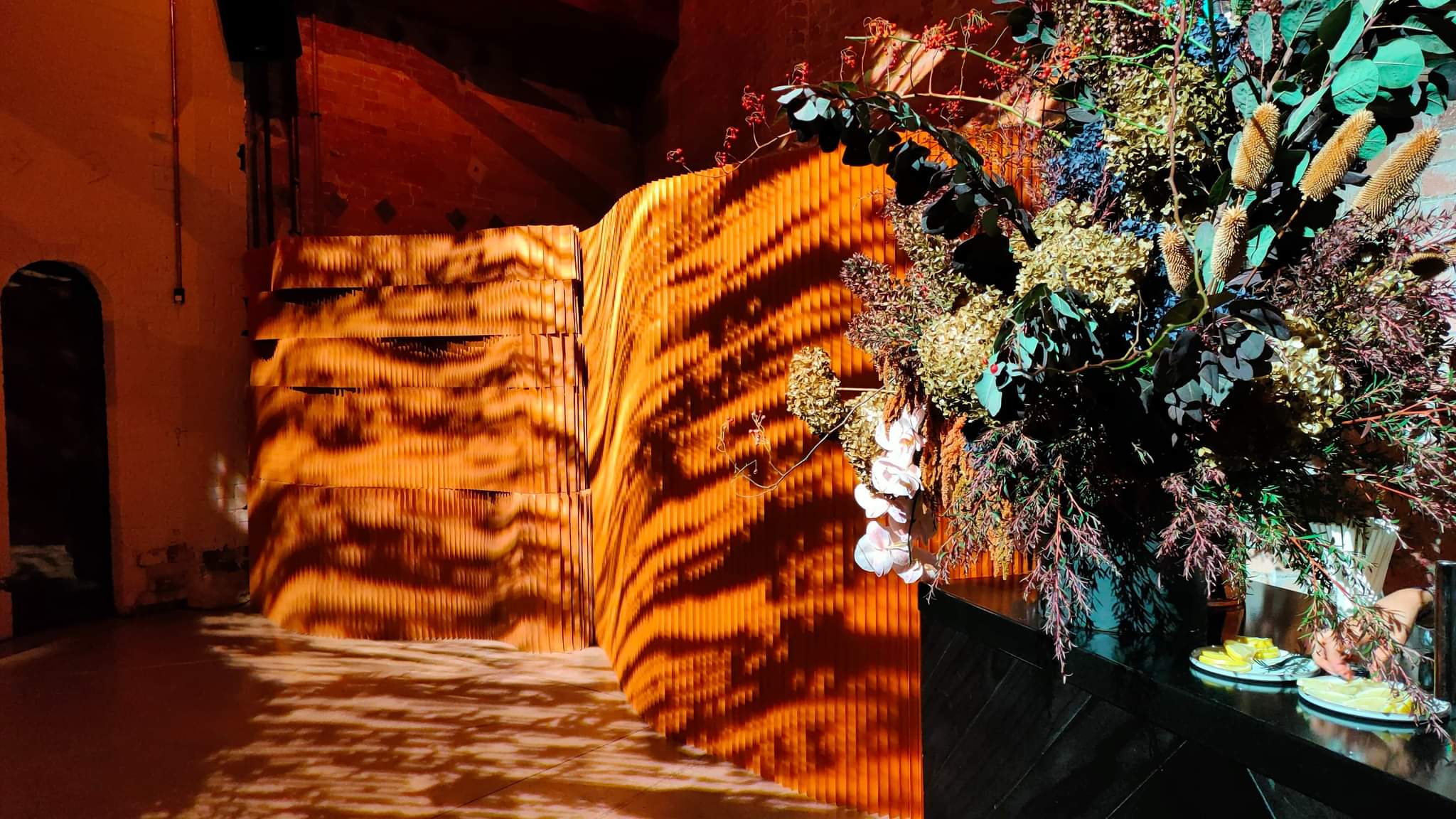 Decorative setup with plants and a colorful projection on a wall.